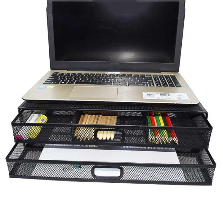 Organizer cassetto estraibile in ferro a 2 strati 41x31x12 cm