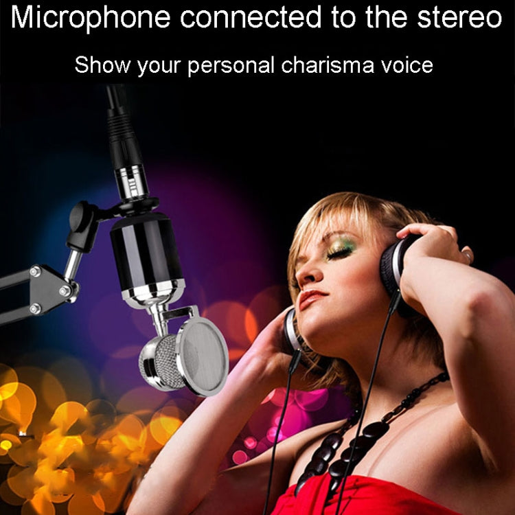 Cavo audio XLR 6.5mm maschio-femmina bilanciato 3 core