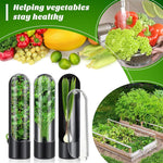 Contenitore per conservare le verdure per verdure fresche Contenitore per erbe aromatiche al coriandolo, 24.5 x 6.5 cm