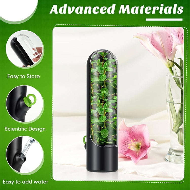 Contenitore per conservare le verdure per verdure fresche Contenitore per erbe aromatiche al coriandolo, 24.5 x 6.5 cm