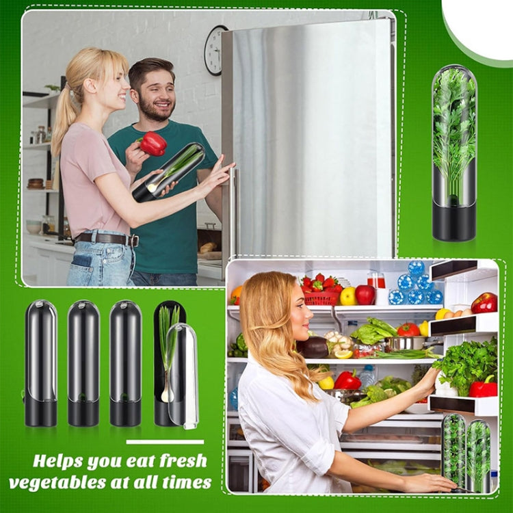 Contenitore per conservare le verdure per verdure fresche Contenitore per erbe aromatiche al coriandolo, 24.5 x 6.5 cm