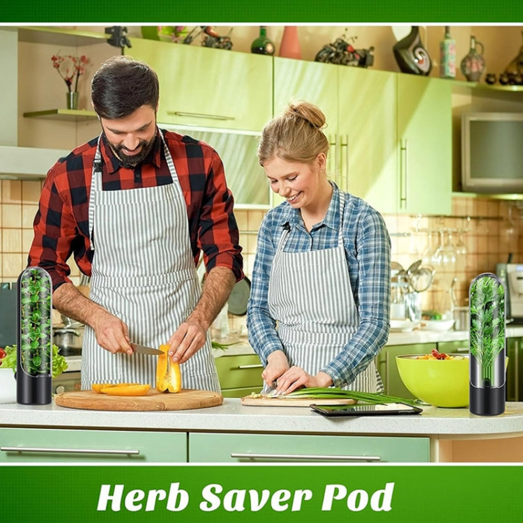 Contenitore per conservare le verdure per verdure fresche Contenitore per erbe aromatiche al coriandolo, 24.5 x 6.5 cm