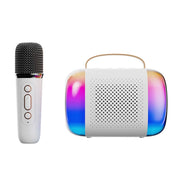 Altoparlante Bluetooth portatile karaoke con microfono wireless