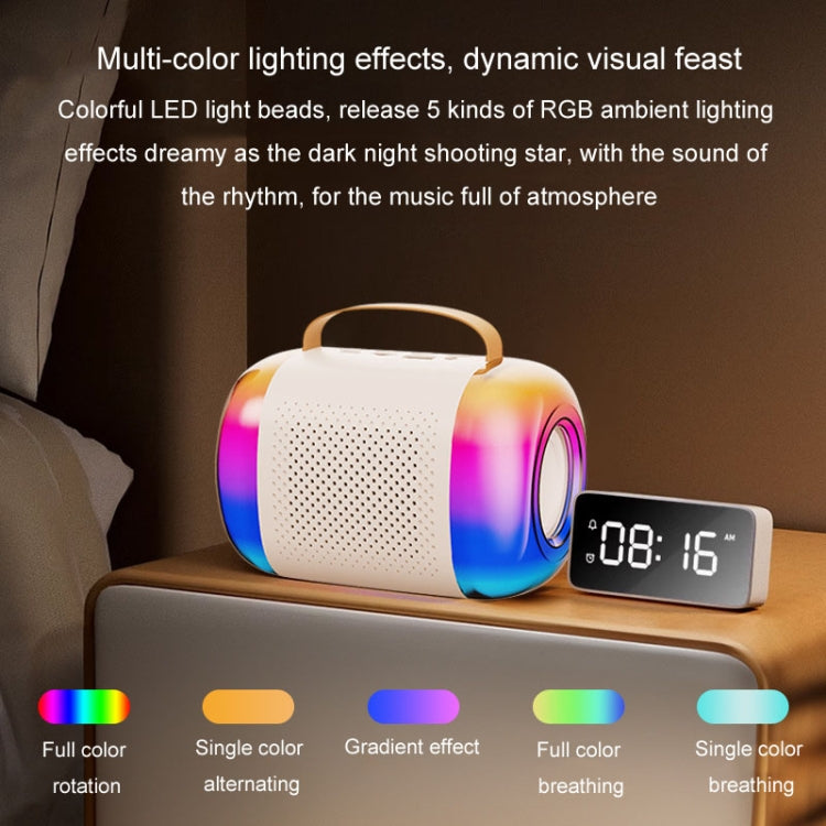 Altoparlante Bluetooth portatile karaoke con microfono wireless