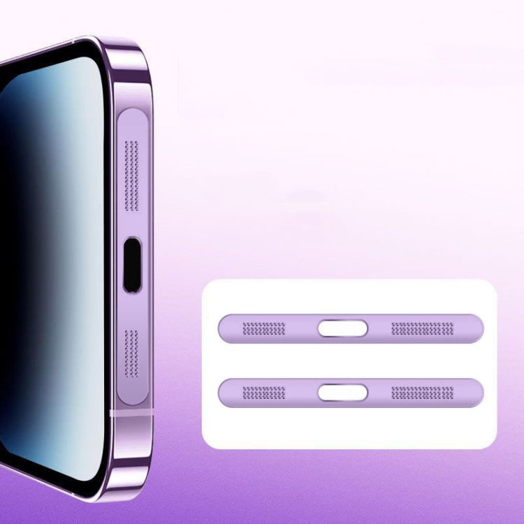 2 pz/set Per IPhone 12/13/14/15 Serie Altoparlante Placcatura In Metallo a Prova di Polvere Maglia Porta di Ricarica Pellicola Protettiva antipolvere adesivo