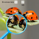 Lente d'ingrandimento colorata 5X per bambini 60mm