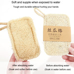 Spazzola per lavare i piatti in luffa naturale. Strumento per lavare i piatti. Spazzola per stracci in luffa, Soft Square, Soft Ellipse, Hard Square, Hard Ellipse