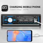 Lettore MP3 radio Bluetooth con doppia scheda USB digitale DAB per auto, SWM-M4