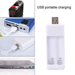 Caricabatterie USB 2 slot per batterie AA e AAA