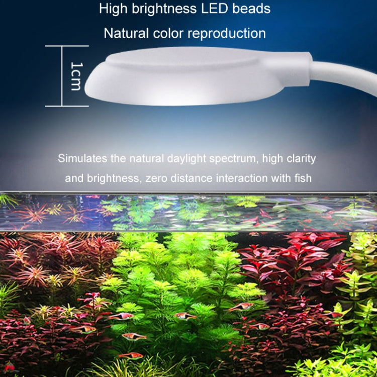 Lampada per piante acquatiche traslucide per acquario, luce a clip LED per acquario da 5 W. Spina USB