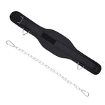 Cintura con pesi per trazioni e allenamento per la forza lombare. Cintura con pesi per estensione del braccio a doppia barra, Paste, Paste+70cm Iron Chain+2 Hooks, Metal Buckle, Metal Buckle+70cm Iron Chain+2 Hooks, Double Layer Paste                  ...