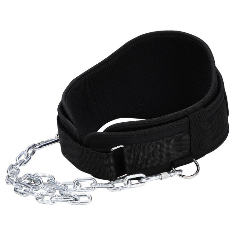 Cintura con pesi per trazioni e allenamento per la forza lombare. Cintura con pesi per estensione del braccio a doppia barra, Paste, Paste+70cm Iron Chain+2 Hooks, Metal Buckle, Metal Buckle+70cm Iron Chain+2 Hooks, Double Layer Paste                  ...