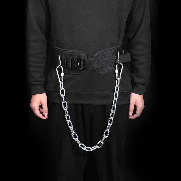 Cintura con pesi per trazioni e allenamento per la forza lombare. Cintura con pesi per estensione del braccio a doppia barra, Paste, Paste+70cm Iron Chain+2 Hooks, Metal Buckle, Metal Buckle+70cm Iron Chain+2 Hooks, Double Layer Paste                  ...