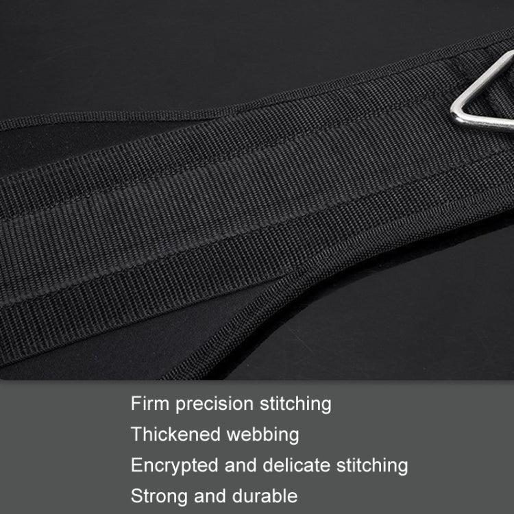Cintura con pesi per trazioni e allenamento per la forza lombare. Cintura con pesi per estensione del braccio a doppia barra, Paste, Paste+70cm Iron Chain+2 Hooks, Metal Buckle, Metal Buckle+70cm Iron Chain+2 Hooks, Double Layer Paste                  ...