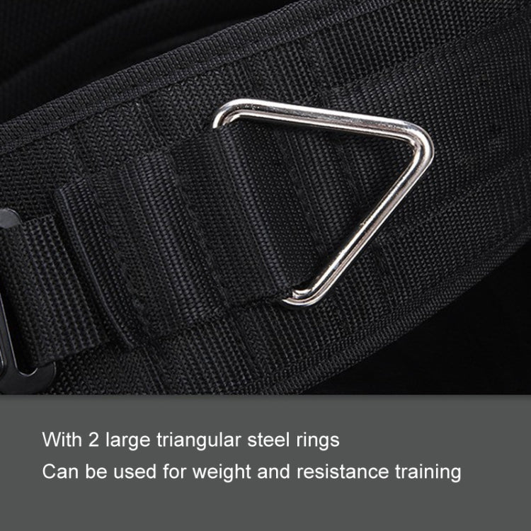 Cintura con pesi per trazioni e allenamento per la forza lombare. Cintura con pesi per estensione del braccio a doppia barra, Paste, Paste+70cm Iron Chain+2 Hooks, Metal Buckle, Metal Buckle+70cm Iron Chain+2 Hooks, Double Layer Paste                  ...
