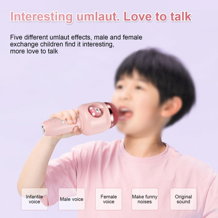 Microfono Karaoke Wireless Bluetooth ICARER FAMILY F816
