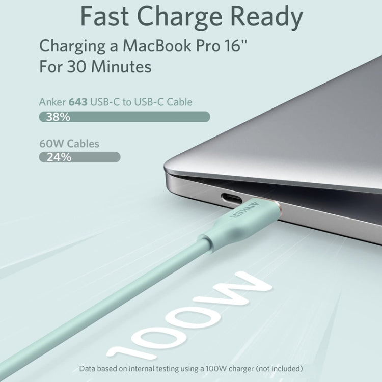 Anker Powerline III Cavo USB-C 100W 0,9m per iPhone