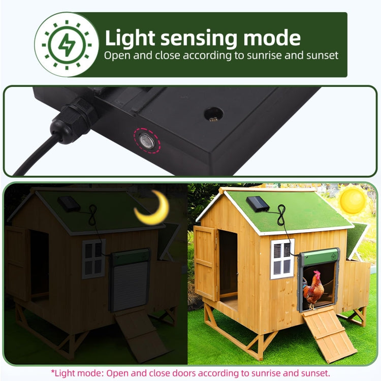 Porta automatica per pollaio ad energia solare Porta automatica per polli in 4 modalità con telecomando, Solar