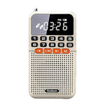 Rolton T1 Ricevitore radio portatile Bluetooth 5.0