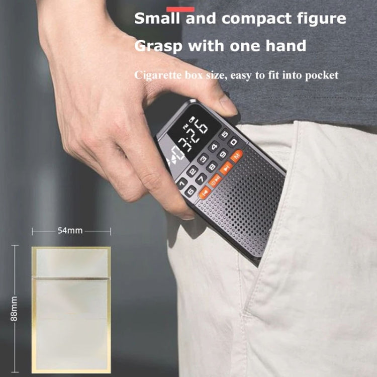 Rolton T1 Ricevitore radio portatile Bluetooth 5.0