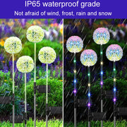 Luce solare da giardino LED decorativa a spina IP65