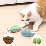 Giocattolo per gatti in silicone a forma di pesce