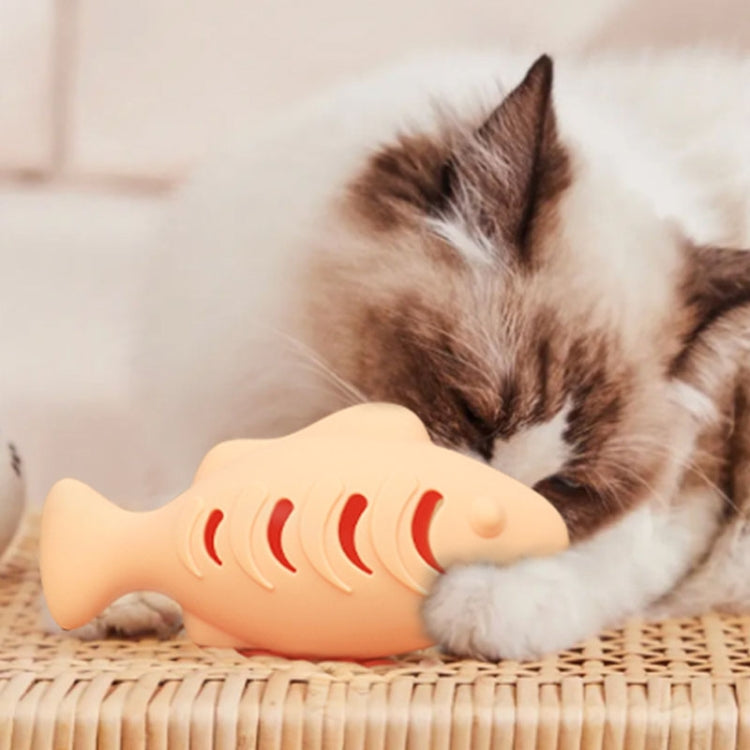 Giocattolo per gatti in silicone a forma di pesce