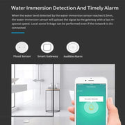 Rilevatore di perdite d'acqua Zigbee WiFi Sensore di allarme per acqua Supporto app Tuya / Google Assistant / Aleax / Yandex Alice, Zigbee WiFi
