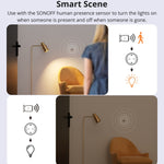 Presa WiFi intelligente SONOFF S60TPF EU e S60TPG UK
