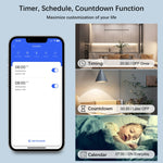 Modulo Smart Switch WiFi e Zigbee compatibile Alexa e Google