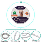 Collare antipulci e zecche per cani e gatti con custodia in alluminio, 72cm Gray, 72cm Orange, 72cm Blue, 38cm Orange, 38cm Pink, 38cm Blue