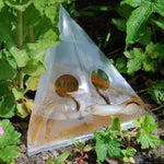 20 pz/pacchetto trappola per lumache sacchetto di plastica trasparente per orto e giardino