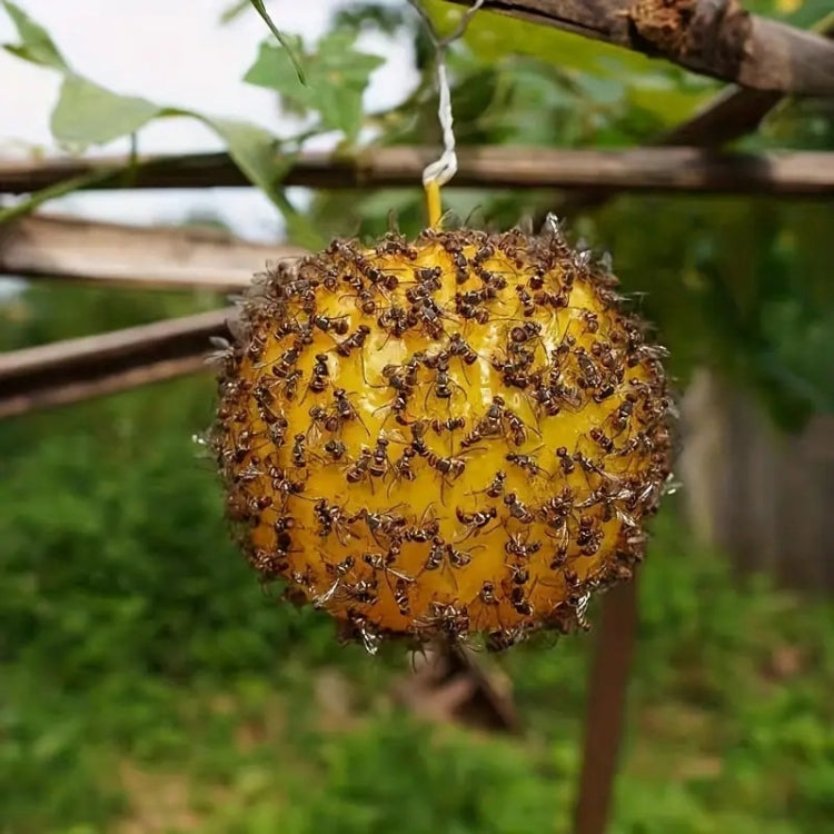 Palla appiccicosa trappola per agrumi zanzara mosca della frutta all'aperto, Yellow