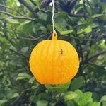 Palla appiccicosa trappola per agrumi zanzara mosca della frutta all'aperto, Yellow