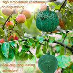 Palla appiccicosa trappola per agrumi zanzara mosca della frutta all'aperto, Green