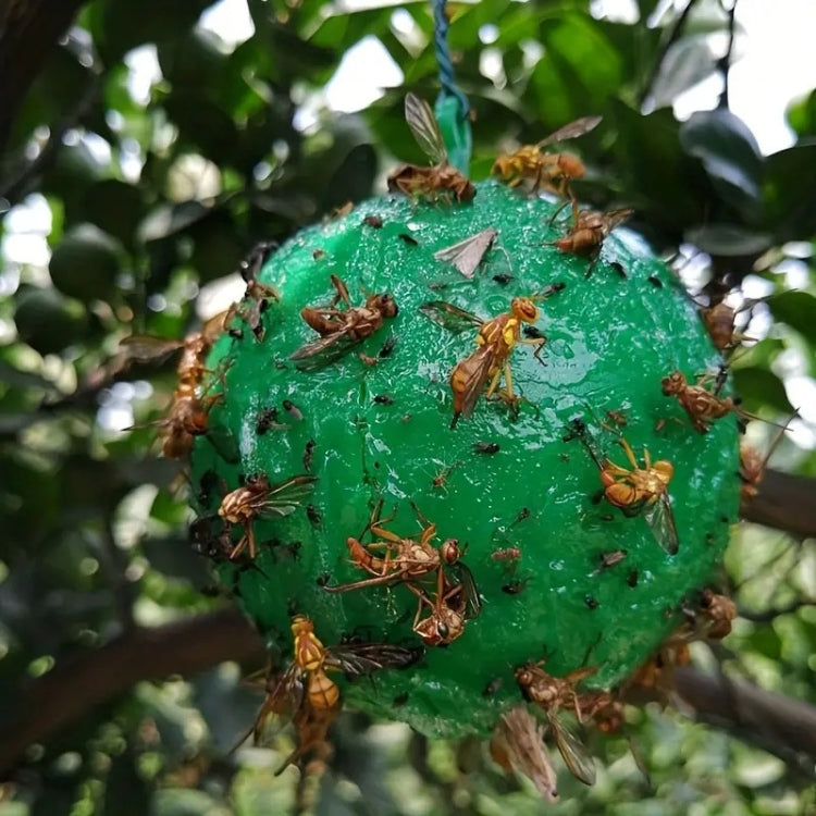Palla appiccicosa trappola per agrumi zanzara mosca della frutta all'aperto, Green