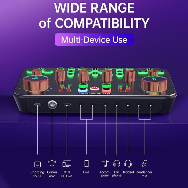 Scheda audio K600 48V con microfono e riduzione rumore