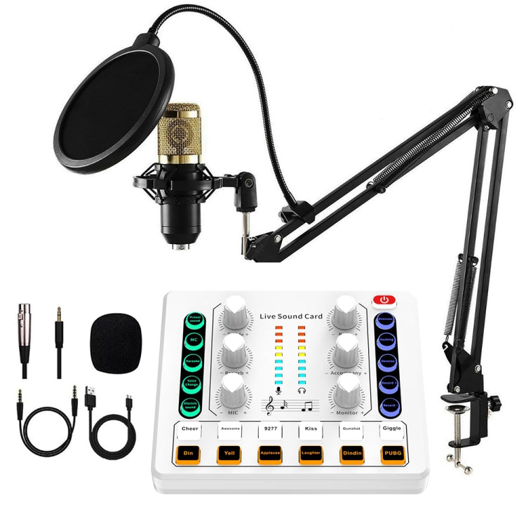 M8 Registrazione e canto Live Bluetooth Scheda audio Set, Black, White, Black+Gold Cantilever, Black+Black Cantilever, White+Gold Cantilever, Black+Gold Cantilever Earphone, Black+Black Cantilever Earphone, White+Gold Cantilever Earphone, Gold Tripod��...