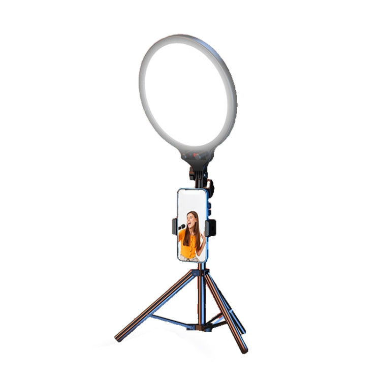 Set di treppiedi per selfie ad anello luminoso a schermo intero da 10,2 pollici per streaming live, 55cm Bracket, 55cm Bracket With Remote Control, 210cm Bracket, 210cm Bracket With Remote Control, 55cm Overhead Shot, 210cm Overhead Shot