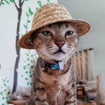 Mini cappello di paglia per animali domestici, cappello con visiera parasole per festa di compleanno di cani e gatti, S 10cm, M 13cm, L 16cm, XL 20cm