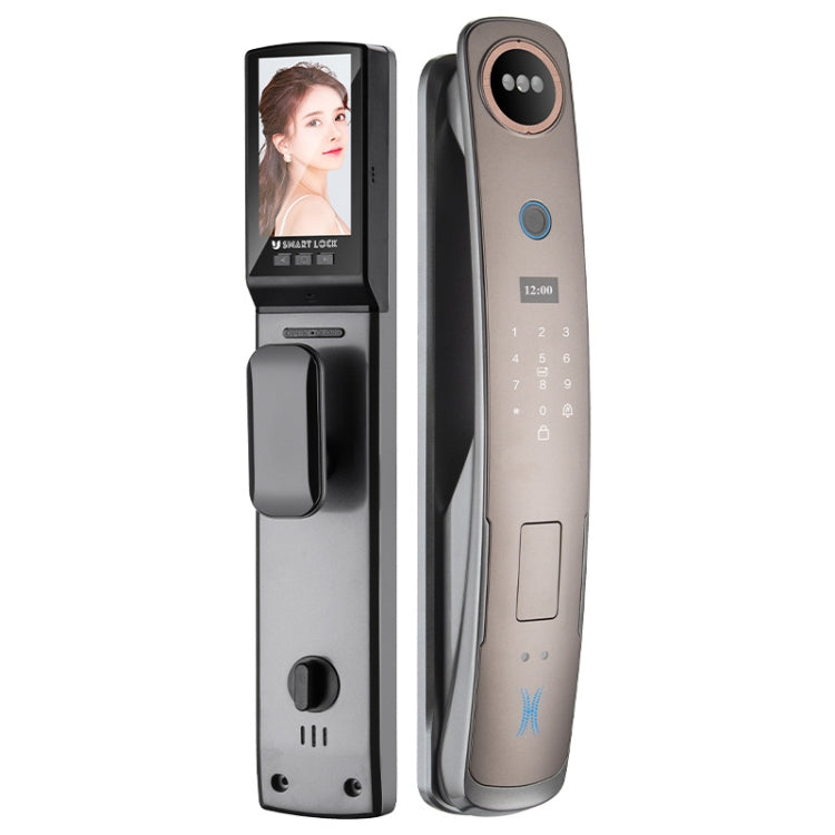 Locstar M6 3D Face Recognition Fingerprint Door Lock Supporta APP Smart IC Card Password Sblocco, M6