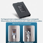 Locstar M6 3D Face Recognition Fingerprint Door Lock Supporta APP Smart IC Card Password Sblocco, M6