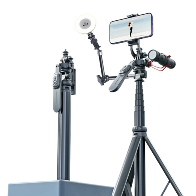 Selfie stick con treppiede in metallo da 2 m con 4 interfacce di espansione e luce di riempimento D07 per fotocamera del telefono, With D07 Fill Light