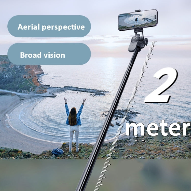 Selfie stick con treppiede in metallo da 2 m con 4 interfacce di espansione e luce di riempimento D07 per fotocamera del telefono, With D07 Fill Light
