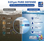 Purificatore d'acqua domestico per tutta la casa, filtro per installazione su tubature, purificatore d'acqua ad alto flusso, Wheelton UF2-1T, Wheelton UF4-2T, Wheelton UF6-3T