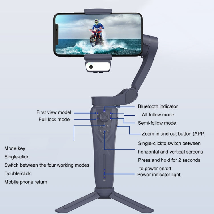 Desiontal F12 Stabilizzatore portatile pieghevole a tre assi Gimbal per telefono cellulare con tracciamento facciale AI, F12 (Black)