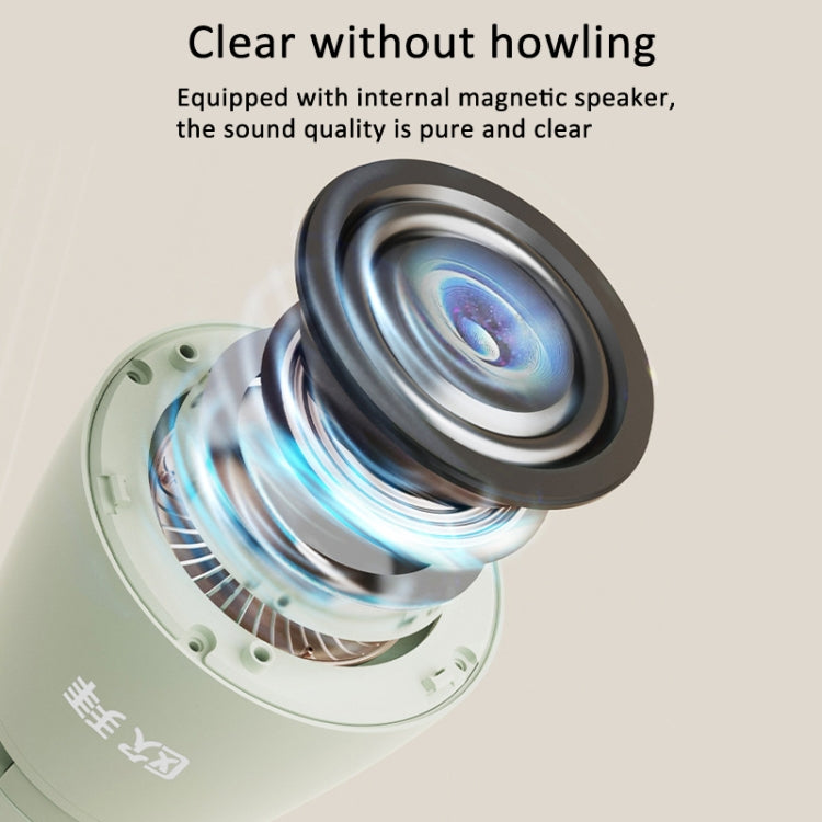 Oubai Z10 Bluetooth Microfono wireless Megafono vocale per insegnante, Basic Version, PPT Clicker Version