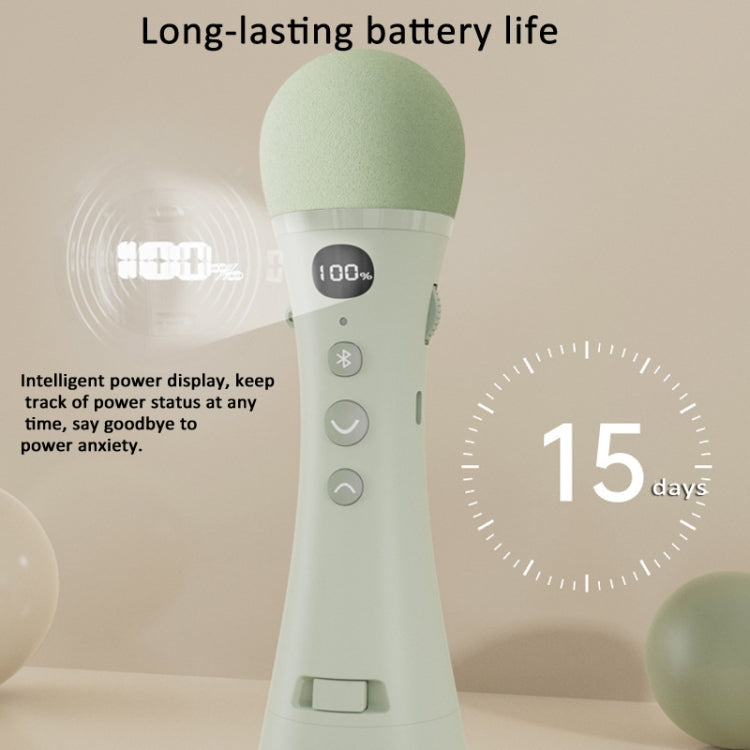 Oubai Z10 Bluetooth Microfono wireless Megafono vocale per insegnante, Basic Version, PPT Clicker Version