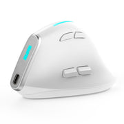 ZELOTES F36 9 tasti impugnatura verticale programmazione ergonomica doppio Bluetooth + mouse wireless 2.4G, F36 (White), F36 (Black)
