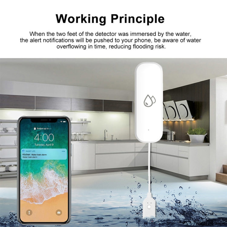 Rilevatore di perdite d'acqua, monitoraggio remoto, allagamento, perdite, allarme, Tuya WiFi, Tuya Zigbee